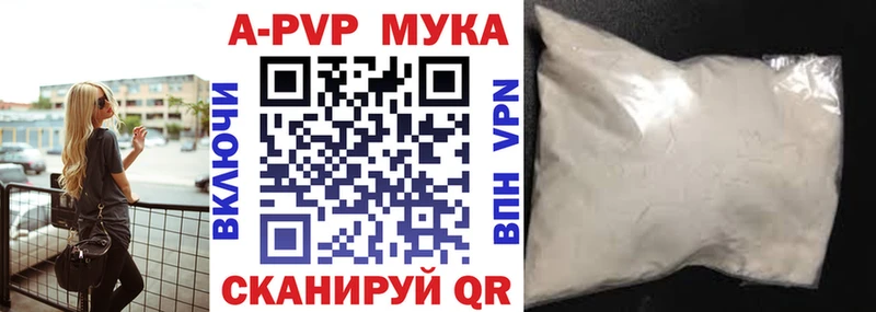 A-PVP СК КРИС  Кириши 