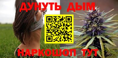 сатива Краснодар