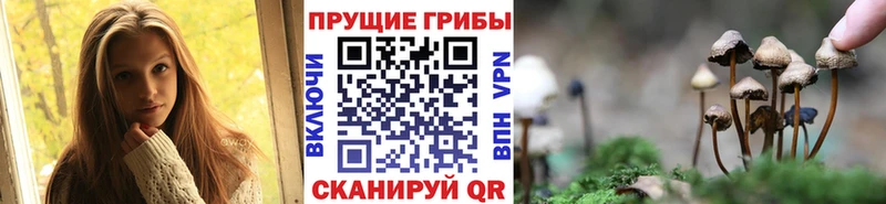 Галлюциногенные грибы ЛСД  как найти наркотики  Кириши 