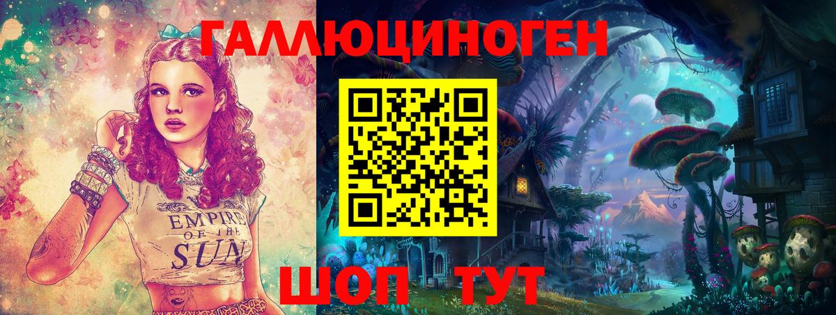 Галлюциногенные грибы Psilocybine cubensis Кириши